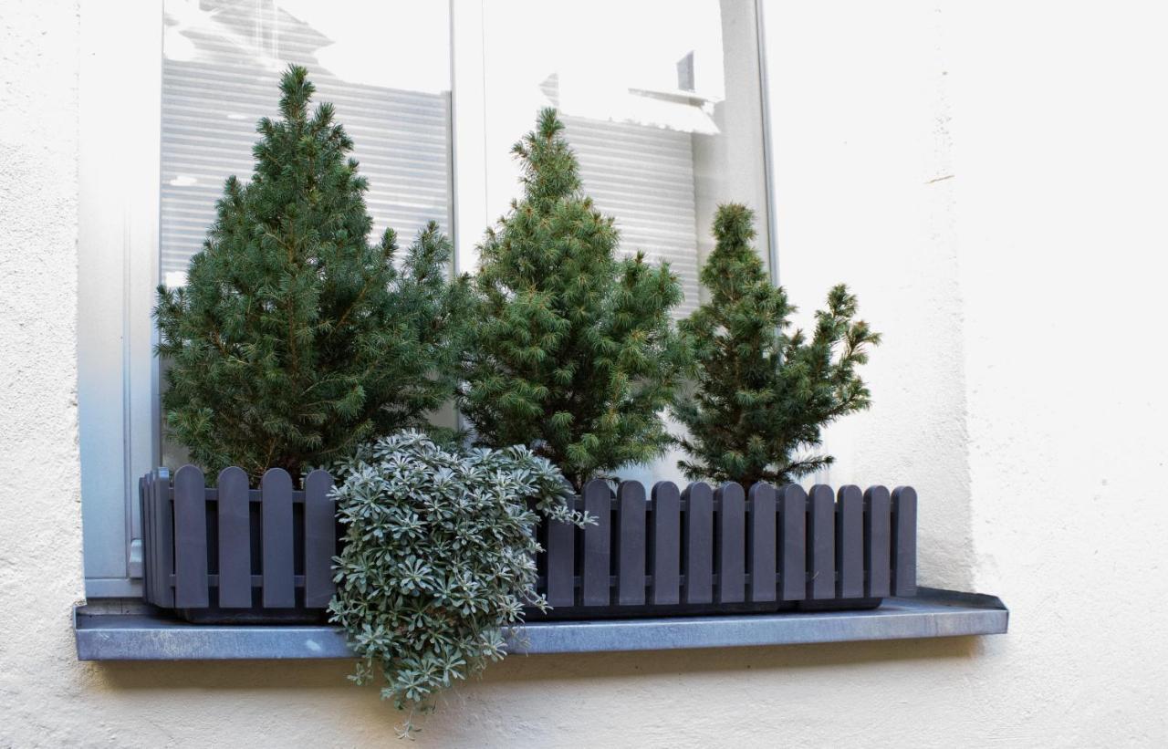 Como Design-Apartment Close To Isar River Area - Centrally Located München Exterior foto
